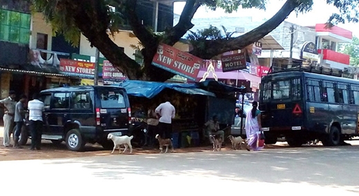 Nelyady group clash case 